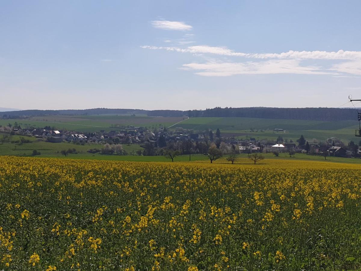 Pension Zum Adler Limbach  Kültér fotó